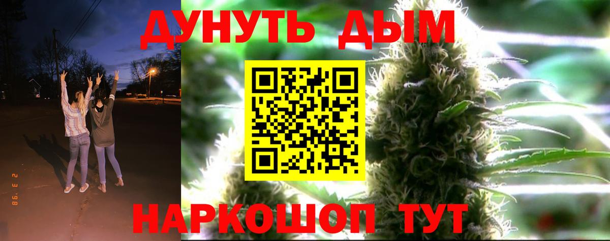 Марихуана планчик  Марихуана индика  Вход с VPN  Канабис конопля  Сызрань  Каннабис OG Kush 